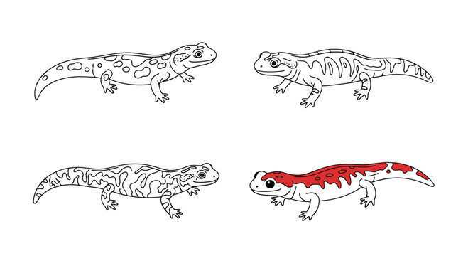 Reptile and amphibian lizard line art icons set.