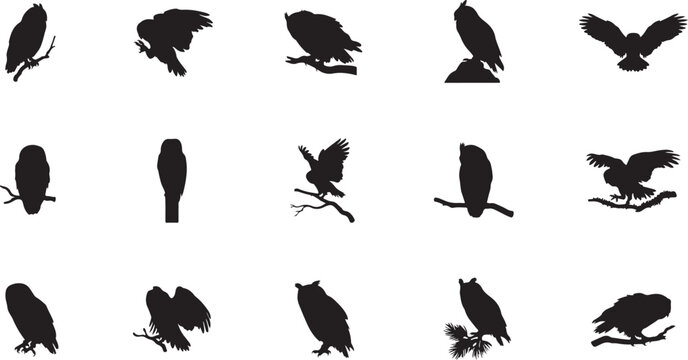 Diversas Siluetas De P&aacute;jaros Negros: Una Colecci&oacute;n Voladores Cantores Posados En Ramas Con Hojas, Aislados Un Fondo Blanco, Perfectos Para Temas Naturaleza Vida Silvestre. 170