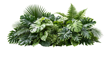 Fototapeta premium Tropical green foliage leaves bundle isolated on transparent