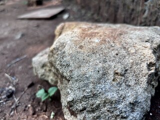 Fototapeta premium Close-up of a weathered stone with rough natural texture and shallow depth of field. Outdoor scene featuring organic patterns, aged surface details, and earthy tones.