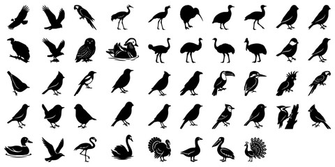 Fototapeta premium Bird Silhouette Bundle – Wildlife Bird SVG Vector Collection
