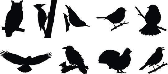 Fototapeta premium Bird silhouette icons with owl, crow, songbirds and turkey posesBird silhouette icons with owl, crow, songbirds and turkey poses