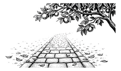 Naklejka premium Vintage woodcut garden path illustration, hand drawn apple tree branch with fruit, rustic stone walkway in orchard, black and white engraving vector
