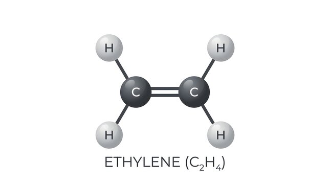 Ethylene C2H4 chemical molecular structure diagram on white background