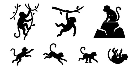 Fototapeta premium Monkeys are jumping and playing on tree branches and rocks outside.