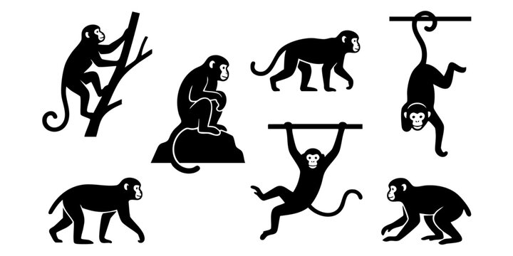 Monkeys are hanging and playing on bars and tree branches outdoors freely.