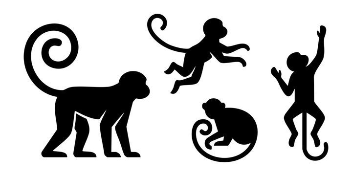 Four monkeys are jumping and standing on a plain white background