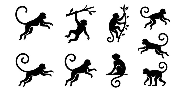 Monkeys are playing and jumping on tree branches in forest