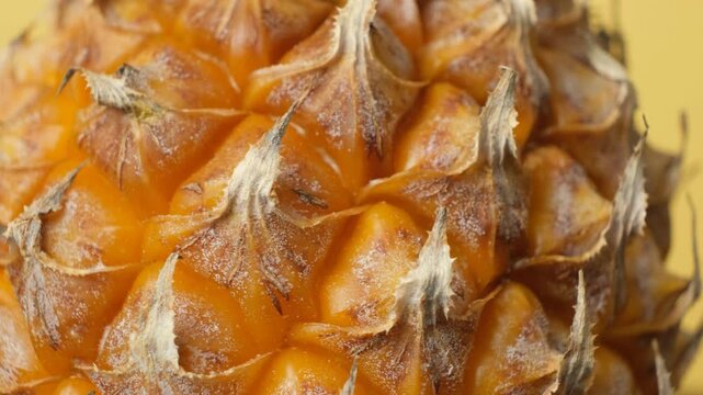 Macro texture of ripe pineapple rind rotating in close up