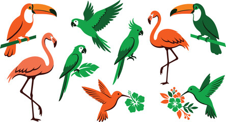 Tropical Birds Vector Set with Toucan Parrot Flamingo Cockatoo and Hummingbird Elements and Exotic Flowers for Summer Jungle Graphic Designsv © MdBokul