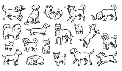 Fototapeta premium Cute Hand Drawn Dog Breed Doodle Pack with Playful Puppy Sketches Vector Collection