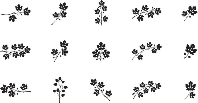 Black And White Floral Pattern With Different Sized Blooms Small Star Dot Accents Over Background 268