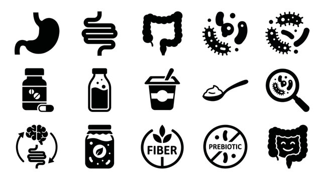 Detailed monochrome vector icons illustrating human digestive organs, beneficial gut bacteria and dietary supplements, representing probiotic product marketing and health education materials