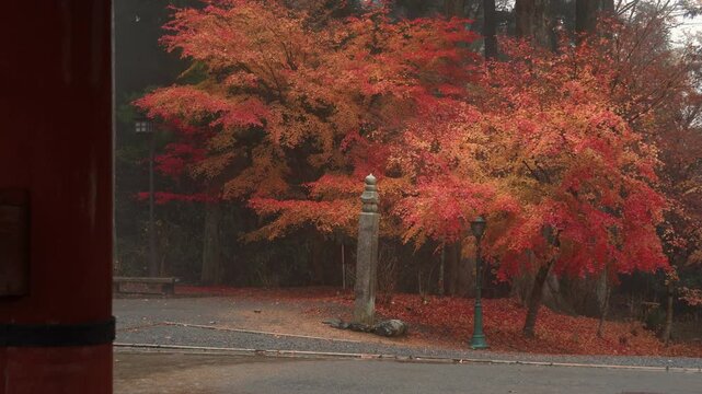 Koyasan Choishimichi Pilgrimage Trail &ndash; 6th Stone Marker with Autumn Foliage, Koya Town, Wakayama　高野参詣道 町石道「6町石と紅葉」和歌山県高野町
