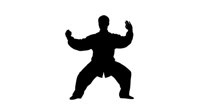 Black silhouette of man practicing kung fu