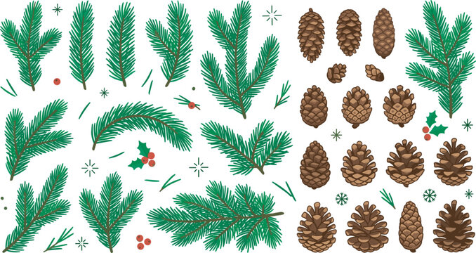 Christmas pine branches and pinecones vector illustration set with green fir twigs and holly berries on white background