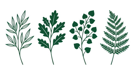 Collection of green leafy branches and fern illustrations © Ambon