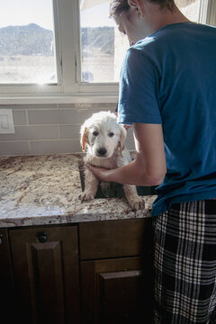 Puppy getting first bath in sink