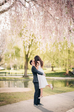 Man lifts woman for a kiss under cherry blossoms