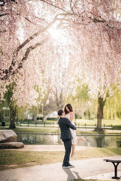 Romantic couple embraces under a blooming cherry tree