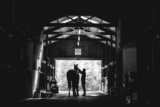 Person preparing a horse in a dark stable