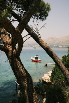 mall Red Boat Anchored in a Turquoise Sea Cove Pine Trees