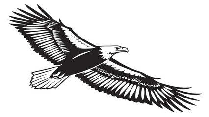 Obraz premium Vector illustration of a majestic eagle in flight, detailed black and white graphic design of a soaring bird of prey