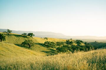Fototapeta premium landscape- Santa Ynez Valley Ca
