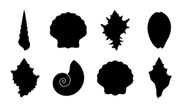 Black and white seashell silhouettes vector collection with minimalist marine sea shell shapes set