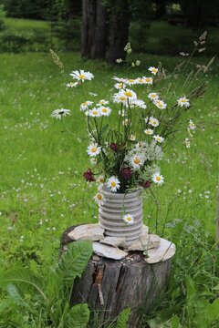 Rustic Wildflower Bouquet on Wooden Tree Stump in Forest Meadow