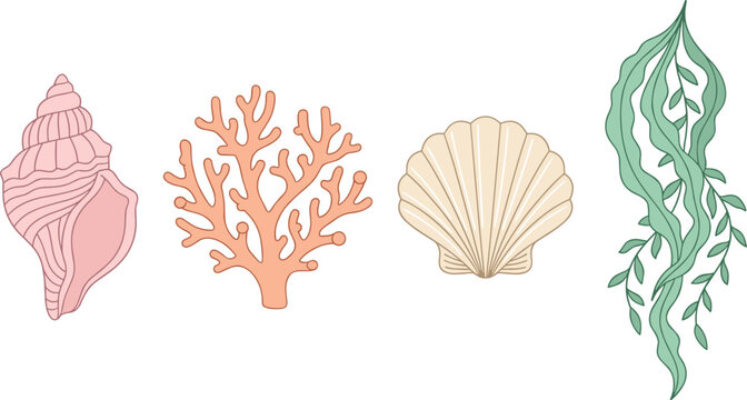 Marine Life Vector Set Featuring Pink Conch Shell Orange Sea Coral Beige Scallop Shell and Green Seaweed Plant Elements