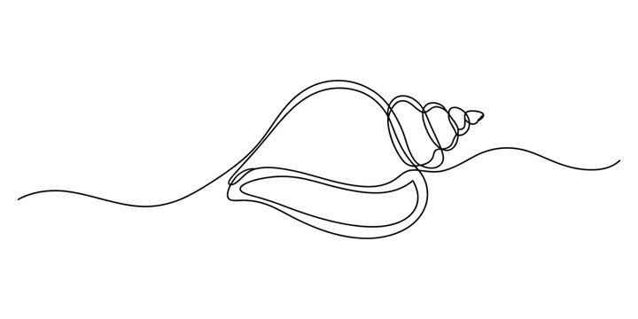 Continuous single line drawing of a seashell