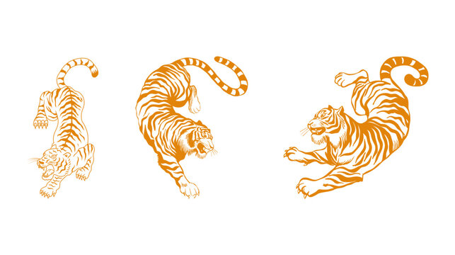 Collection of three dynamic tiger poses including jumping and aggressive stances in gold outline style with hand drawn wildlife predator aggressive collection
