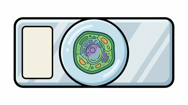 A cartoon illustration of a cell with a green interior