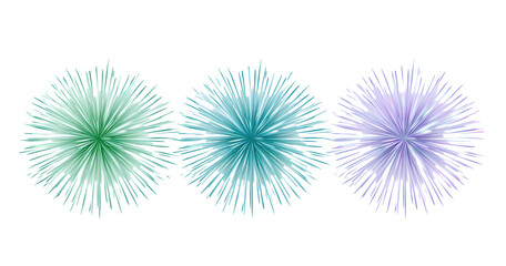 Fototapeta premium Colorful fireworks on transparent background