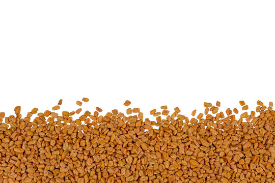 Fenugreek seeds arranged in a bottom border pile on a transparent background transparent