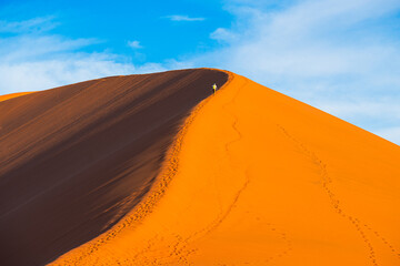 Stunning aerial view of Namib Desert dunes meeting the Atlantic Ocean in Namibia © JB Images