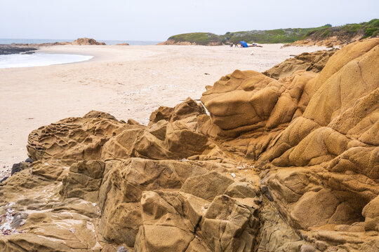 The beach and Pacifc Ocean at Bean Hollow State Park, California