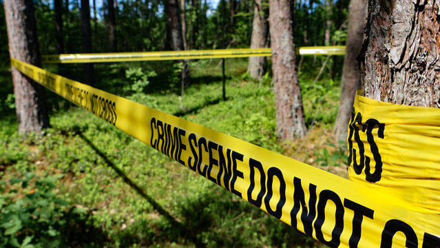 Yellow crime scene tape with black CRIME SCENE DO NOT CROSS text wrapped around pine trees in a green forest, indicating a restricted area and ongoing investigation
