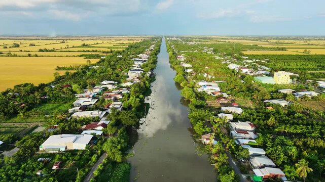 Aerial view from the silt river tilting up to the bright blue sky