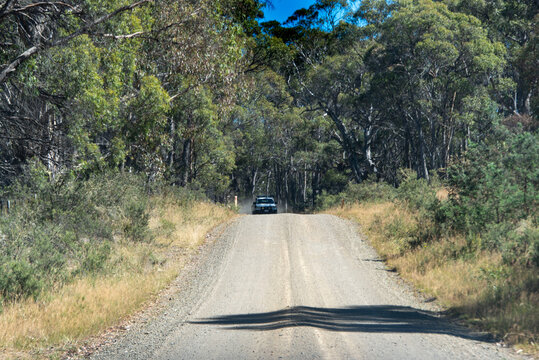 Interlaken Road (C527) in Tasmania - Australia