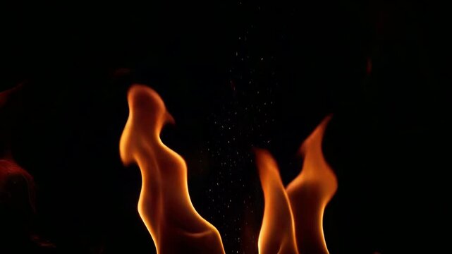 Fire flames burning on black.