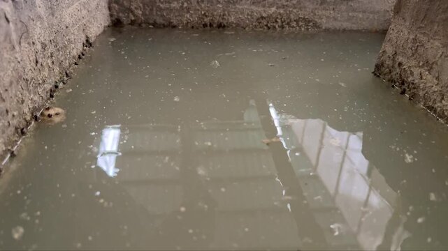Hand dipping a pH test strip into wastewater for water quality analysis. Environmental monitoring and industrial effluent testing in a treatment facility.