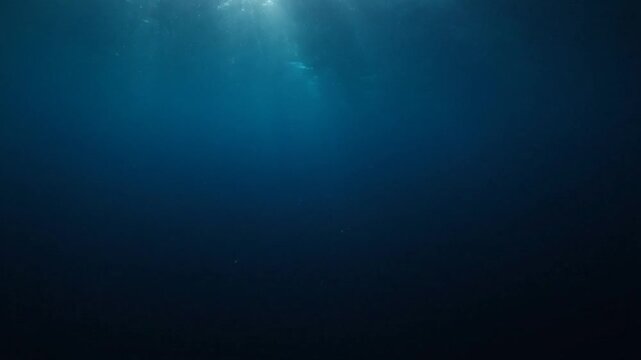Sunlight filtering through ocean water surface