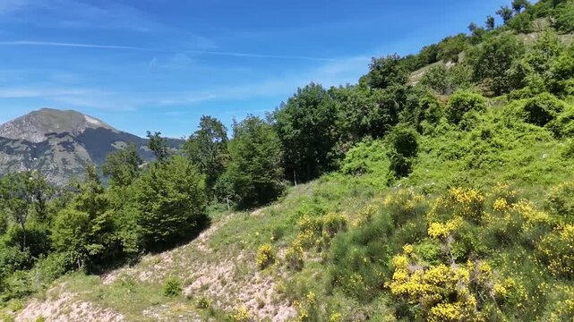 Panoramica mozzafiato di montagne maestose sotto un cielo blu limpido, circondate da rigogliosi pendii boschivi verdi in una giornata estiva soleggiata
