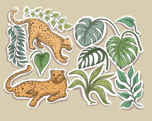 Obraz premium Hand-painted watercolor leopard illustration in exotic tropical monstera and palm leaves. Spotted predator in the safari jungle. Wildlife nature painting, isolated art print on a white background.