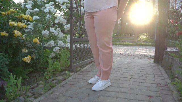 Woman near a rose bush at sunset, Woman in pink pants standing near blooming rose bush in garden at sunset