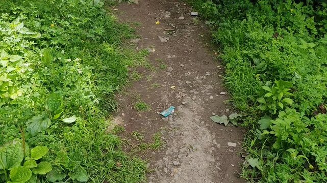 Narrow gravel path with green vegetation for nature blogs, hiking websites, walking trail clipart, landscape design, and outdoor recreation presentations.