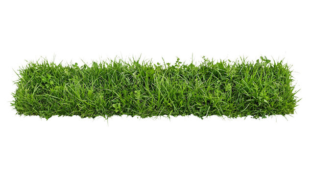 Rectangular green grass patch and linear border, isolated on transparent background, PNG cutout of lush lawn strip for architectural rendering or website banner framing
