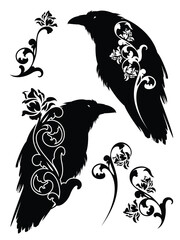 Obraz premium magic raven bird and rose flowers black and white vector silhouette design set for mystic and fantasy theme